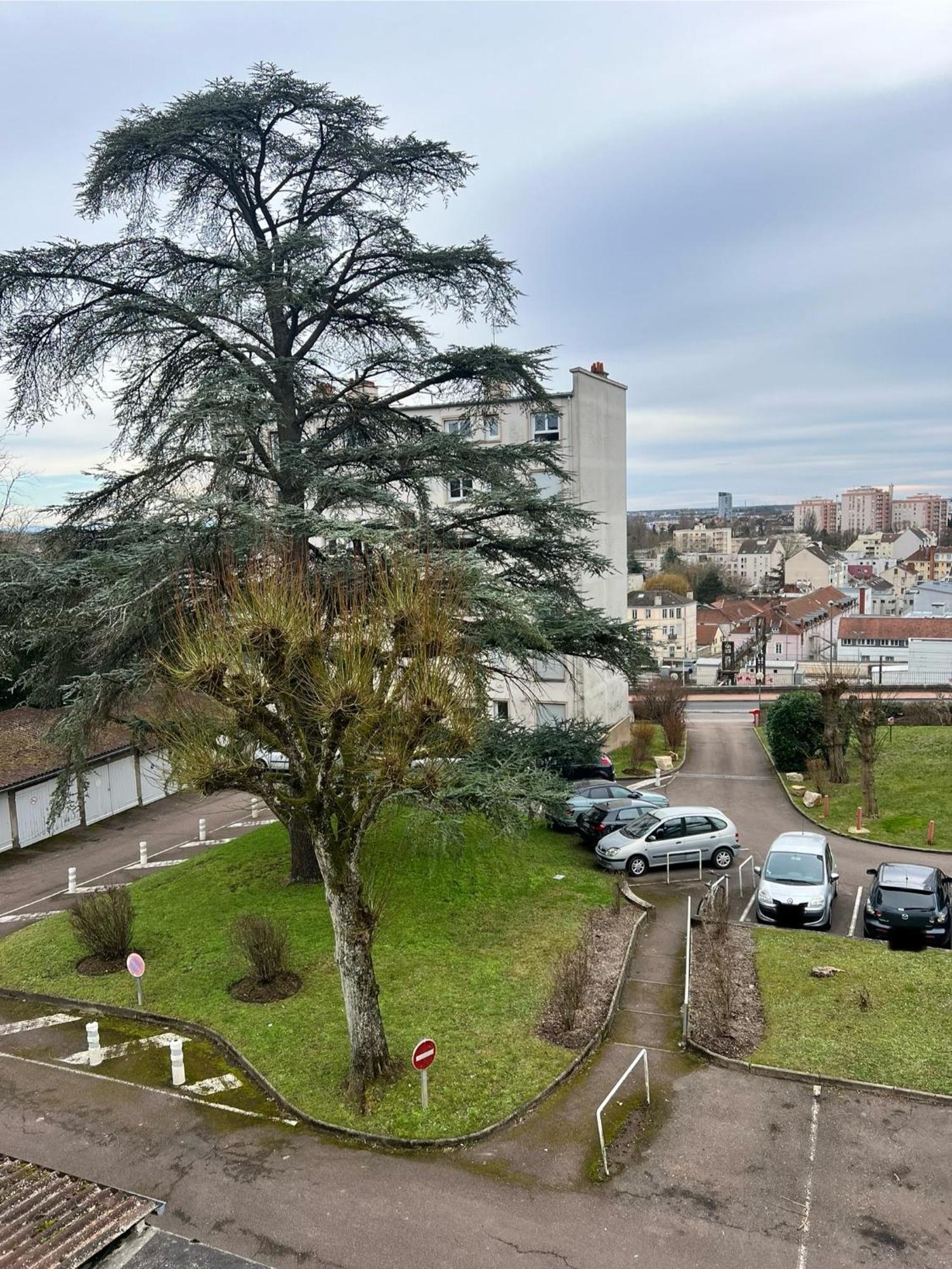 Apartamento Le Bellevue - T3 - Gare & Les Jardins Darcy - Parking Free Dijon Exterior foto
